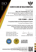 ISO-45001 issued by American National Qualifications Board